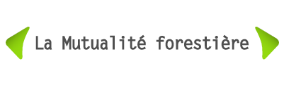 La Mutualité forestière